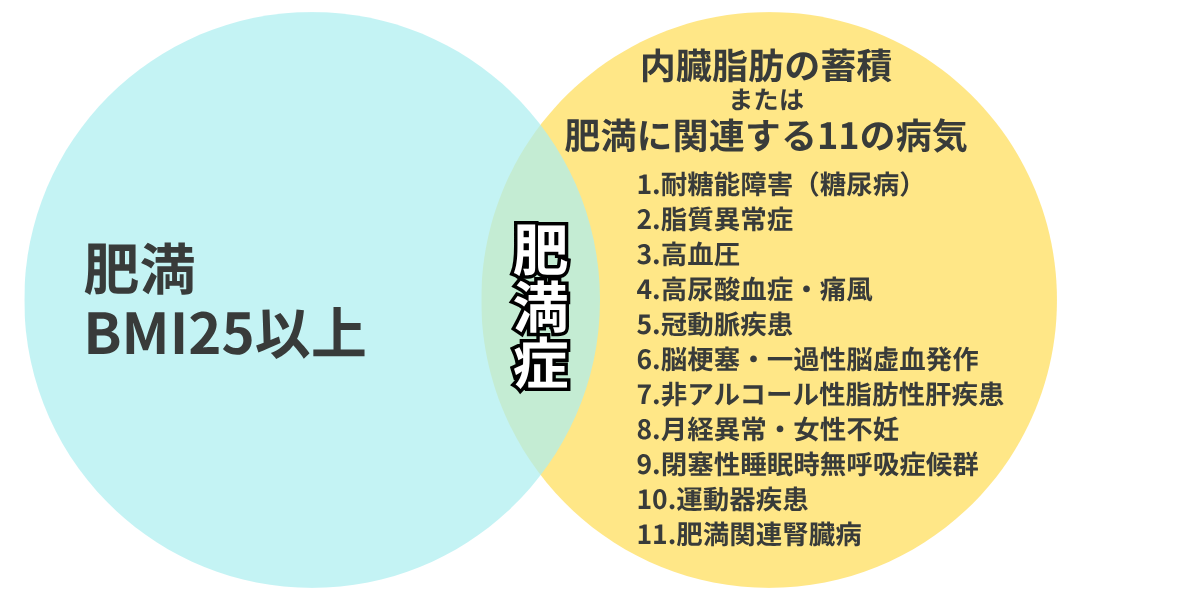 肥満と肥満症の違いとは？