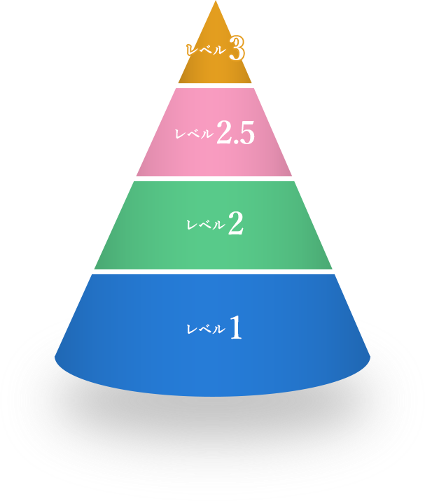 〇〇年レベル1 〇〇年レベル2 〇〇年レベル2.5 〇〇年レベル3