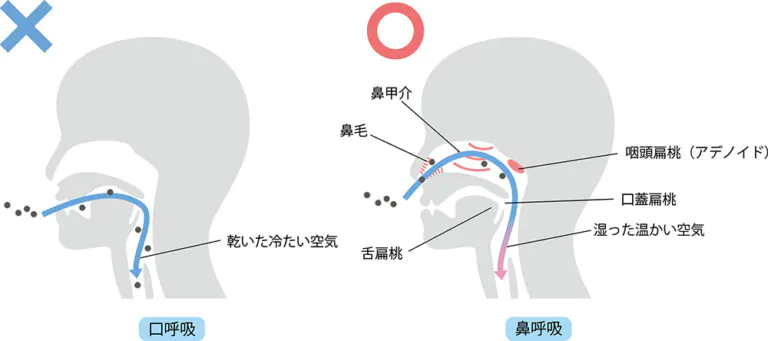 口呼吸になりやすいため