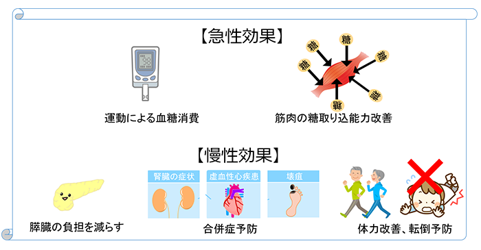 運動の効果