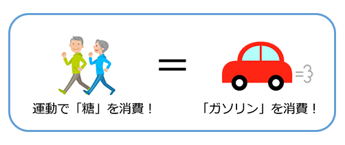 運動で「糖」を消費！＝「ガソリン」を消費！