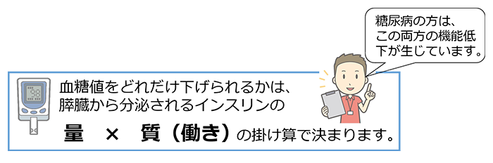 血糖値をどれだけ下げられるかは、膵臓から分泌されるインスリンの量×室（働き）の掛け算で決まります。