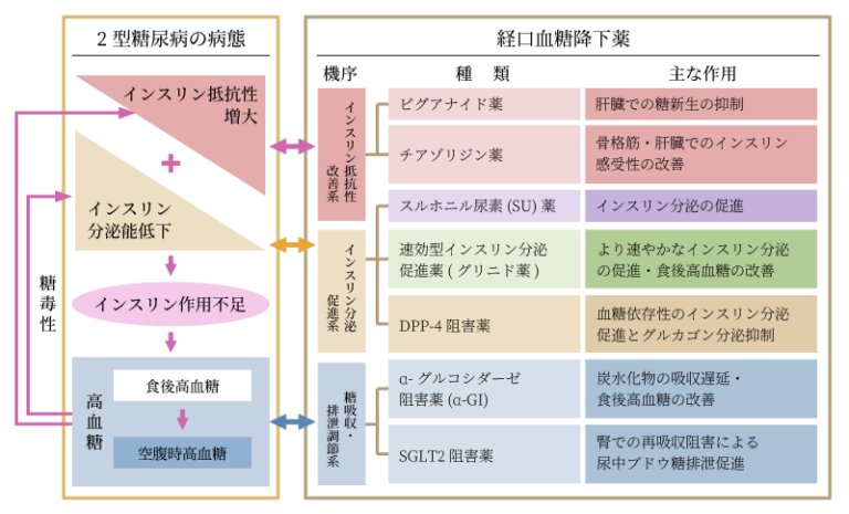 日本糖尿病学会編・著：糖尿病治療ガイド2018-2019,p.33,文光堂2018