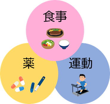 薬 運動 食事