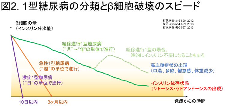 1型糖尿病の分類とβ細胞破壊のスピード