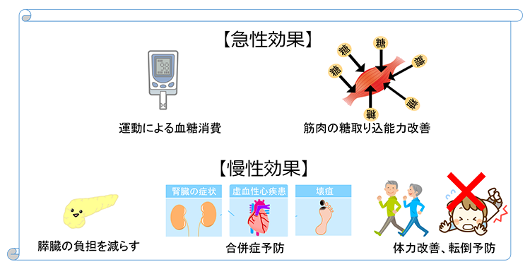 糖尿病における運動療法の狙い